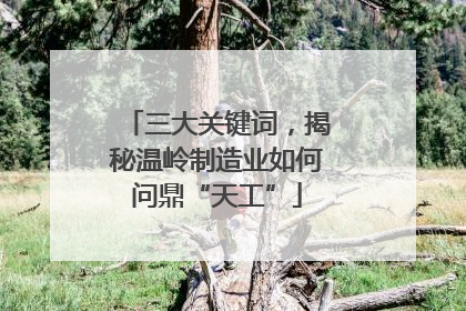 三大关键词，揭秘温岭制造业如何问鼎“天工”