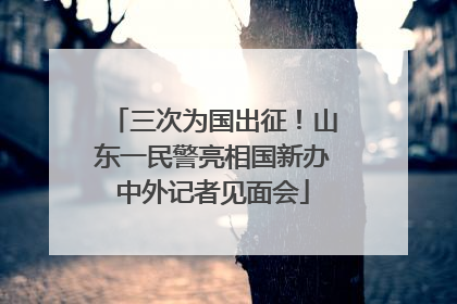 三次为国出征！山东一民警亮相国新办中外记者见面会