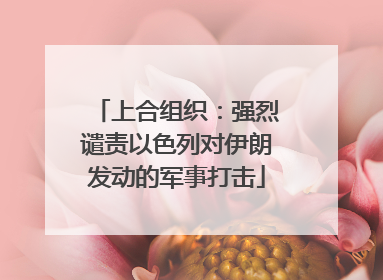 上合组织：强烈谴责以色列对伊朗发动的军事打击