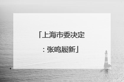 上海市委决定：张鸣履新