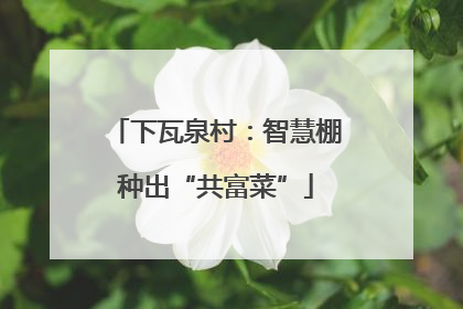 下瓦泉村：智慧棚种出“共富菜”