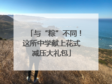 与“粽”不同！这所中学献上花式减压大礼包