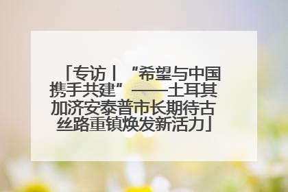 专访丨“希望与中国携手共建”——土耳其加济安泰普市长期待古丝路重镇焕发新活力