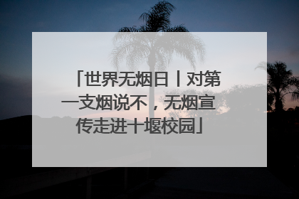 世界无烟日丨对第一支烟说不，无烟宣传走进十堰校园