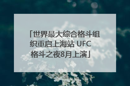 世界最大综合格斗组织重启上海站 UFC格斗之夜8月上演