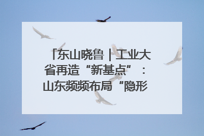东山晓鲁｜工业大省再造“新基点”：山东频频布局“隐形冠军”背后