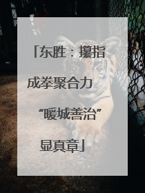 东胜：攥指成拳聚合力 “暖城善治”显真章