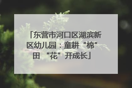 东营市河口区湖滨新区幼儿园：童耕“棉”田 “花”开成长