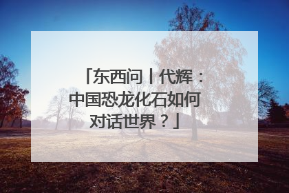 东西问丨代辉：中国恐龙化石如何对话世界？
