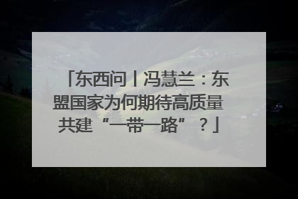 东西问丨冯慧兰：东盟国家为何期待高质量共建“一带一路”？
