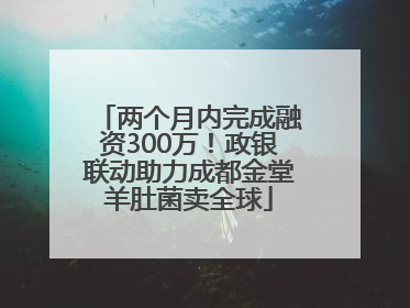 两个月内完成融资300万！政银联动助力成都金堂羊肚菌卖全球