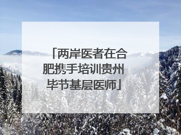 两岸医者在合肥携手培训贵州毕节基层医师