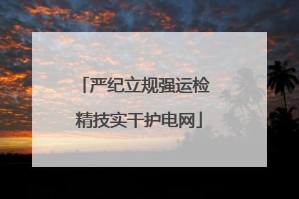 严纪立规强运检 精技实干护电网