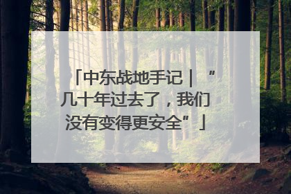 中东战地手记｜“几十年过去了，我们没有变得更安全”