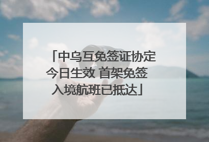 中乌互免签证协定今日生效 首架免签入境航班已抵达