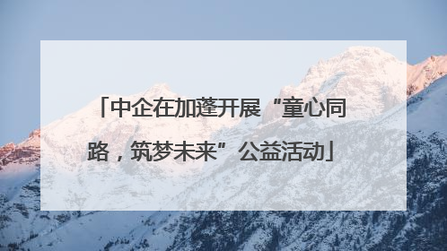 中企在加蓬开展“童心同路，筑梦未来”公益活动