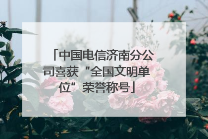 中国电信济南分公司喜获“全国文明单位”荣誉称号