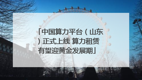 中国算力平台（山东）正式上线 算力租赁有望迎黄金发展期