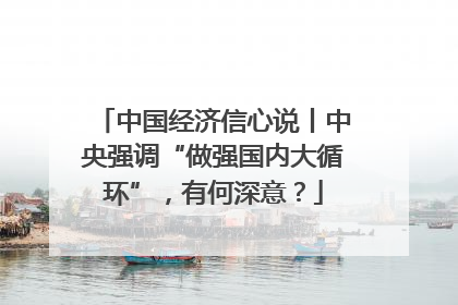中国经济信心说丨中央强调“做强国内大循环”，有何深意？