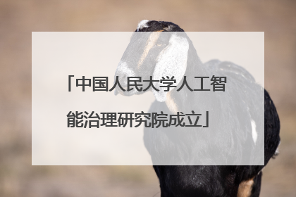 中国人民大学人工智能治理研究院成立