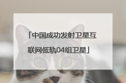中国成功发射卫星互联网低轨04组卫星