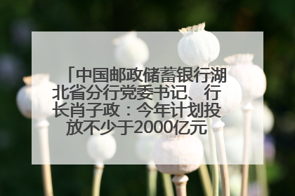 中国邮政储蓄银行湖北省分行党委书记、行长肖子政：今年计划投放不少于2000亿元支持支点建设