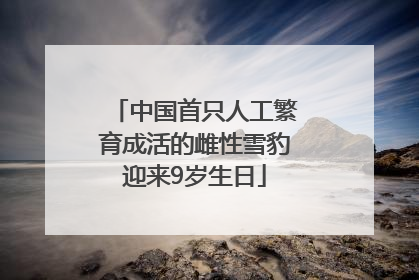 中国首只人工繁育成活的雌性雪豹迎来9岁生日