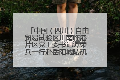 中国（四川）自由贸易试验区川南临港片区党工委书记谭荣兵一行赴岳阳城陵矶综保区考察