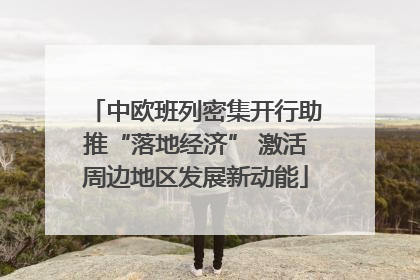 中欧班列密集开行助推“落地经济” 激活周边地区发展新动能