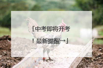 中考即将开考！最新提醒→