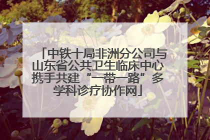 中铁十局非洲分公司与山东省公共卫生临床中心携手共建“一带一路”多学科诊疗协作网