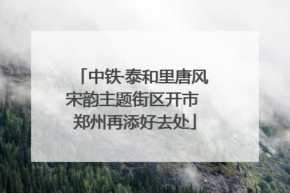 中铁·泰和里唐风宋韵主题街区开市 郑州再添好去处