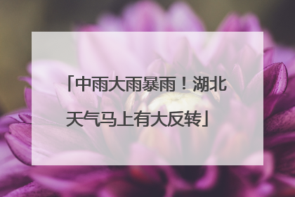 中雨大雨暴雨！湖北天气马上有大反转