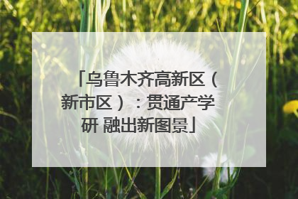 乌鲁木齐高新区（新市区）：贯通产学研 融出新图景