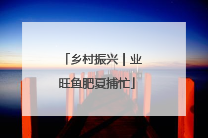 乡村振兴｜业旺鱼肥夏捕忙