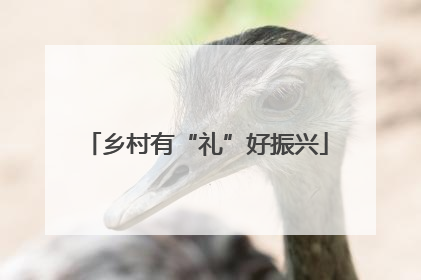 乡村有“礼”好振兴
