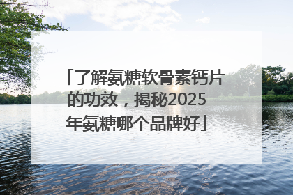了解氨糖软骨素钙片的功效，揭秘2025年氨糖哪个品牌好