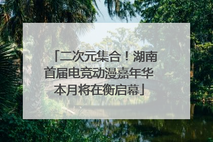 二次元集合！湖南首届电竞动漫嘉年华本月将在衡启幕
