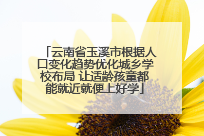 云南省玉溪市根据人口变化趋势优化城乡学校布局 让适龄孩童都能就近就便上好学