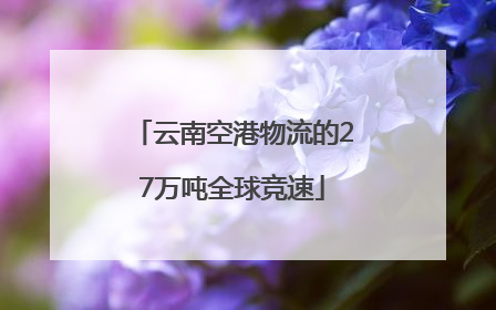 云南空港物流的27万吨全球竞速