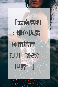 云南嵩明：绿色优质种苗培育 打开“缤纷世界”