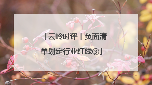 云岭时评丨负面清单划定行业红线③