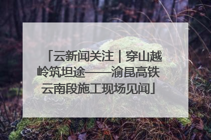 云新闻关注｜穿山越岭筑坦途——渝昆高铁云南段施工现场见闻