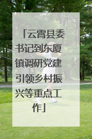 云霄县委书记到东厦镇调研党建引领乡村振兴等重点工作