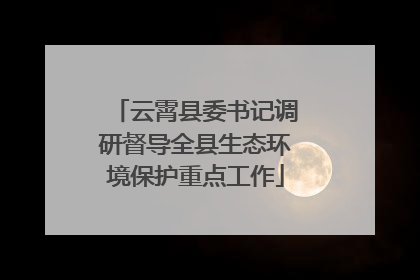 云霄县委书记调研督导全县生态环境保护重点工作