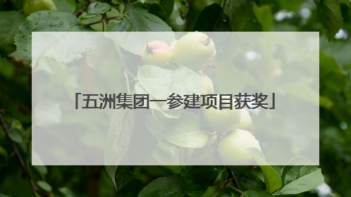 五洲集团一参建项目获奖