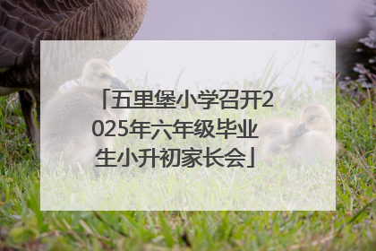 五里堡小学召开2025年六年级毕业生小升初家长会