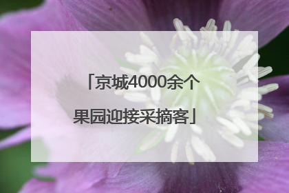 京城4000余个果园迎接采摘客