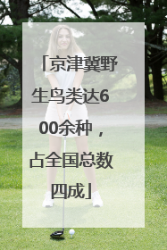 京津冀野生鸟类达600余种，占全国总数四成