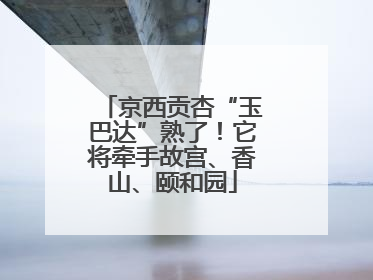 京西贡杏“玉巴达”熟了！它将牵手故宫、香山、颐和园